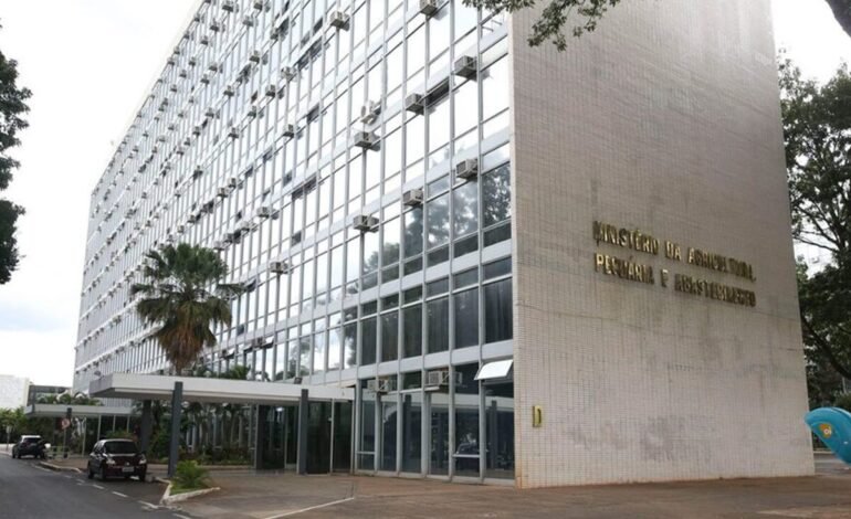 Governo vai avaliar alternativa com a China para eventual compensação da tarifa sobre a carne bovina